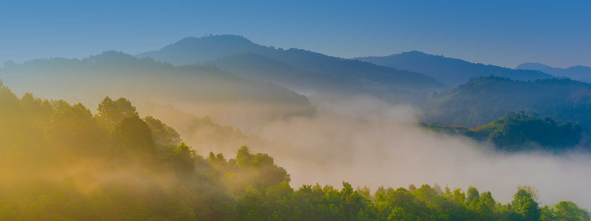 大小球盘口分析