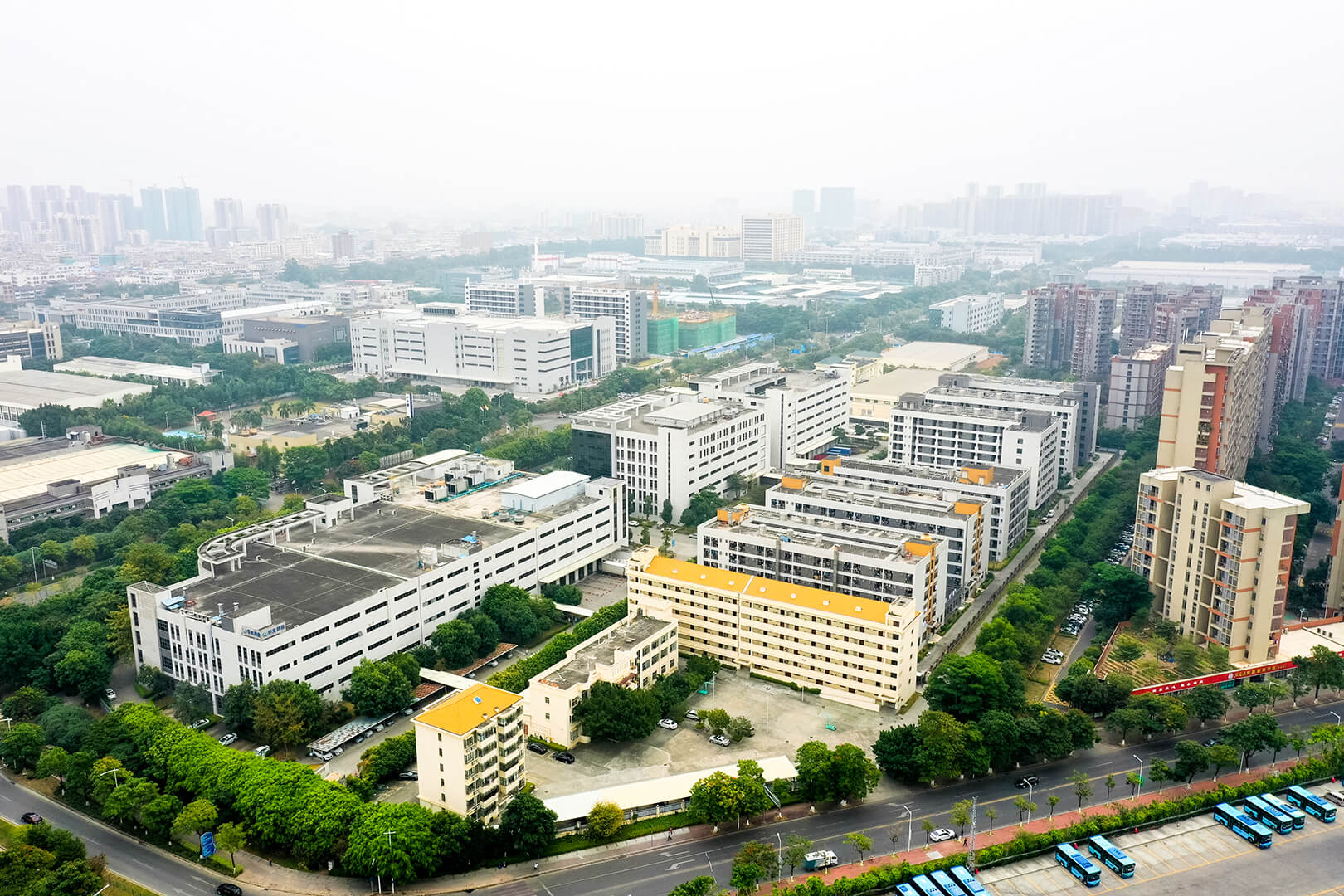 大小球盘口分析