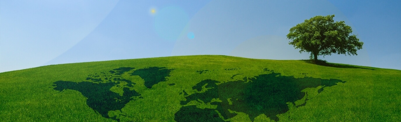 大小球盘口分析