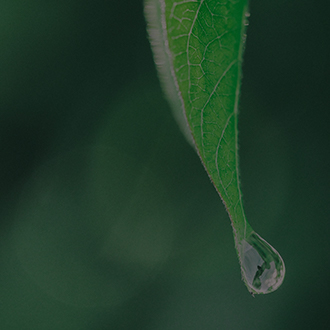 大小球盘口分析