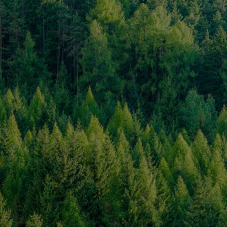 大小球盘口分析