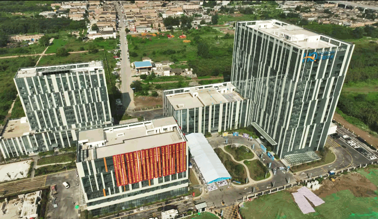 大小球盘口分析