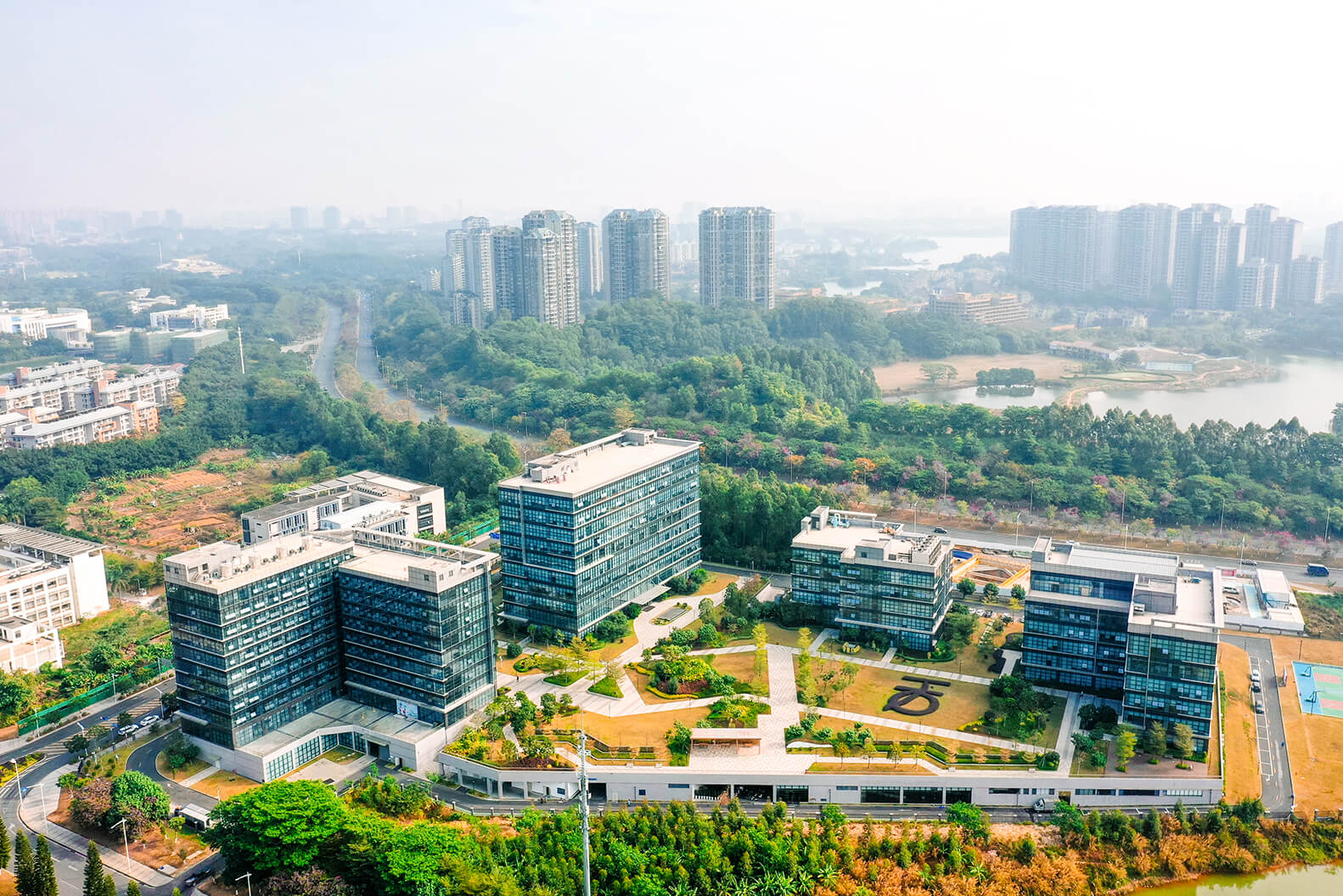 大小球盘口分析