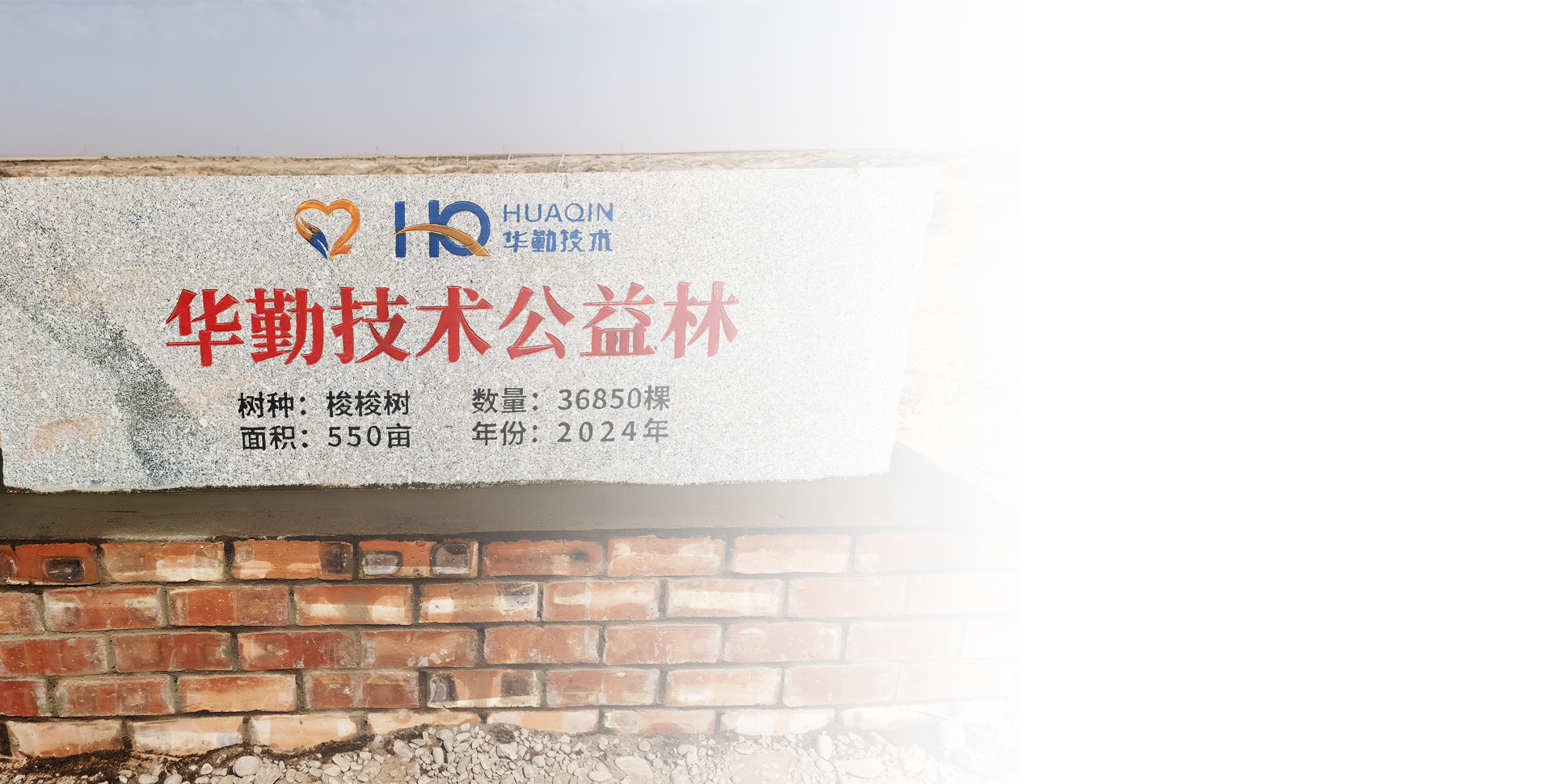 大小球盘口分析