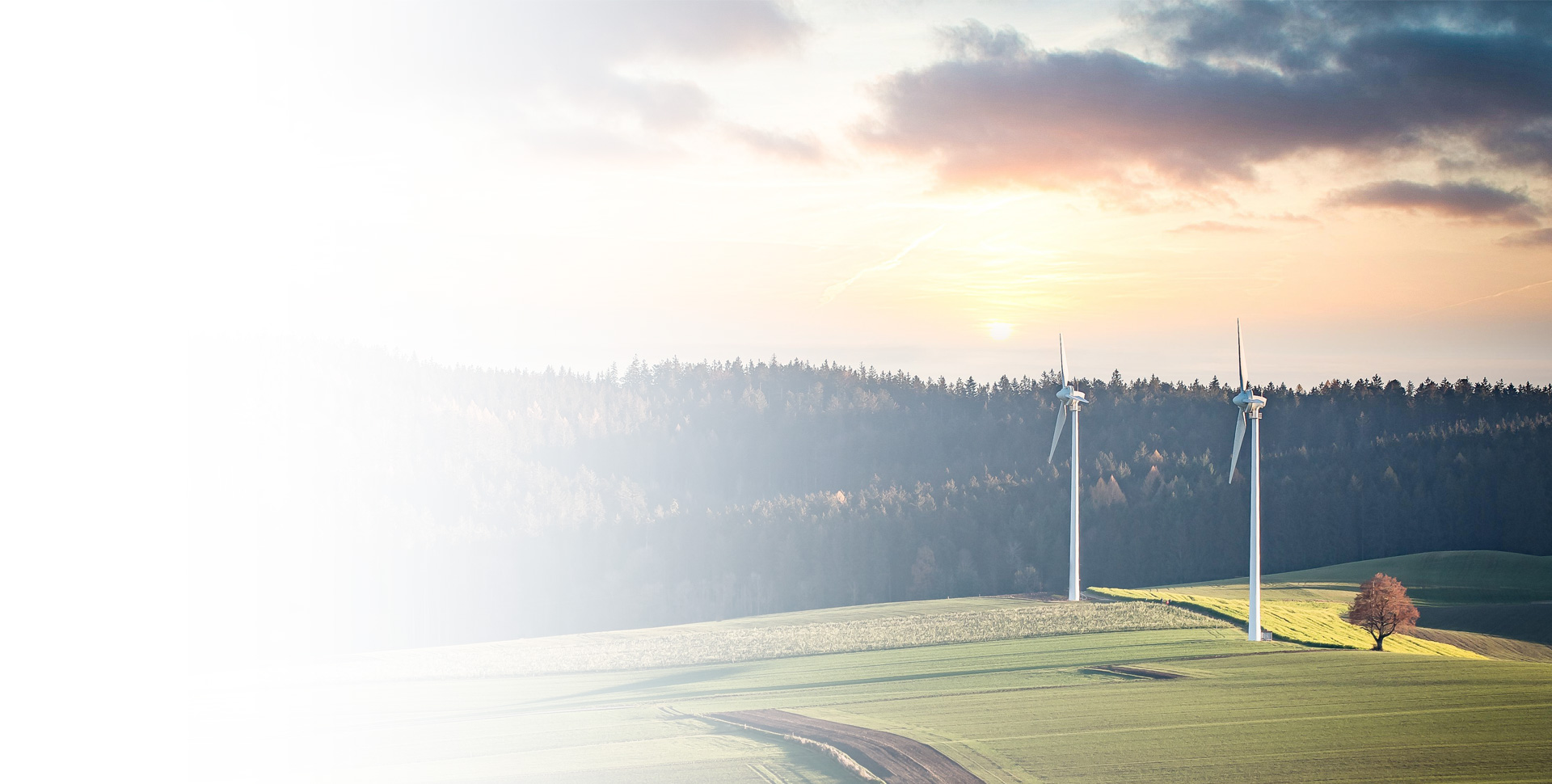 大小球盘口分析