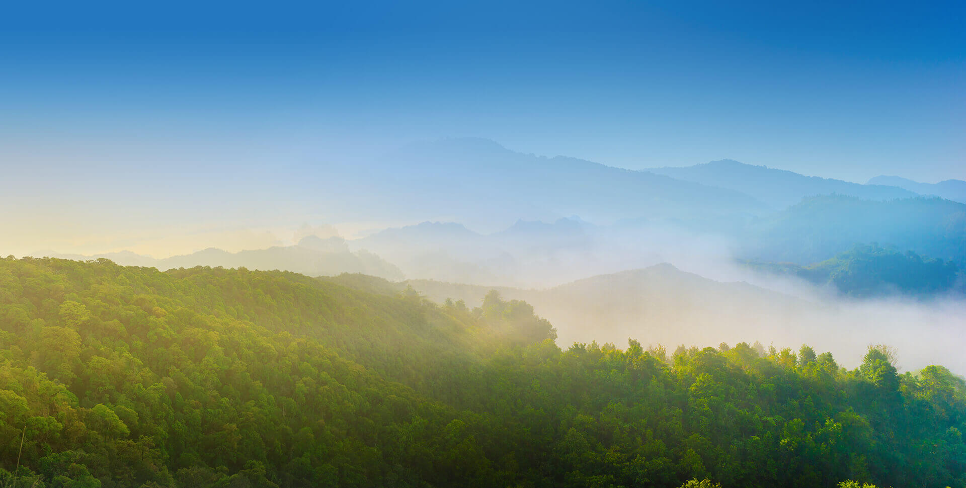 大小球盘口分析